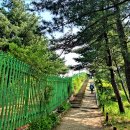 동작충효길 1코스 고구동산길 이미지
