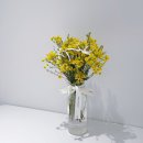 탄생화 | 1월 탄생화 왁스플라워 꽃다발 선물 후기｜원모먼트 플라워 당일배송으로 감동 두 배