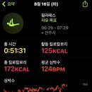 농부아저씨닭치기 | 8.15-8.21