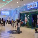 우리나라 블루존 | 씨라이프 코엑스 아쿠아리움 22개월 아기랑 나들이 후기