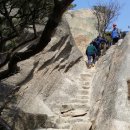 용봉산글램핑 이미지