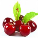 호중목장 이미지