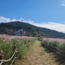 2023 청정완도 가을 섬여행 이미지