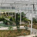 치유농업관 이미지