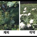 오수유통