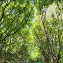 돌산공원 정상 이미지