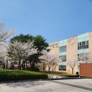김해 진영도서관 경남에나뉴스