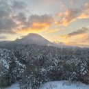 명산관광주