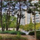 안성동광 이미지