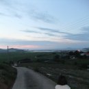 당산나무민박 이미지