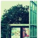 흥국생명빌딩 이미지