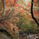 송강목장 이미지