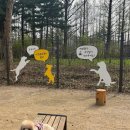 미니주동물병원 이미지