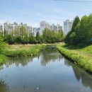 대월놀이공원 이미지