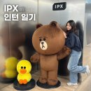 마케팅 프렌즈 | IPX(구 라인프렌즈) 마케팅 인턴 후기
