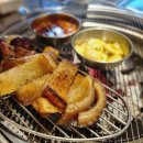 맘모스껍데기 이미지