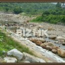 경관공인중개사사무소 이미지