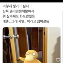 멍청한 고라파덕이 되고싶은 테토남