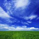 초원의 언덕 이미지