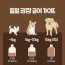 어스펫(US-pet) | 펫밀크 말고 이거, 페톰스 멍멍C 드링크 후기!