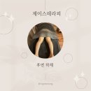 송파쇼핑센터 | [서울 송파] 잠실 마사지 제대로 받고 온 잠실 에스테틱 후기-잠실 에스테틱