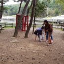 아이마을 어린이집 이미지