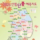 풀솜할머니 | 2024 단풍 예측 지도, 최고의 단풍 즐길 수 있는 에어비앤비 추천 숙소 6