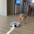 삼성컴퓨터세탁 | 삼성전자 비스포크 스팀 로봇청소기 VR7MD96516G 내돈내산 후기