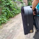 시튼하우스 | 강아지카시트 푸들 10.5kg 편안하게 사용