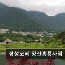 경성코페 양산홍룡사점 | 양산 홍룡사 카페 경성코페 양산홍룡사점 커피 맛과 친절함의 조화