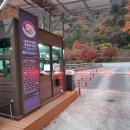 내장산국립공원 내장야영장 이미지