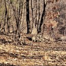 별내면행정타운 이미지