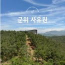 태창유리 | [공지] 군위 사유원 사색의 공간 예약 카페 건축과 자연의 조화
