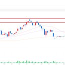 (주)손노리 이미지