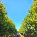 준이농장1 | 제주 4박5일 아이랑 제주유진팡 바나나 동물체험 내돈내산