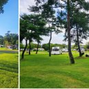 목계숲 1 이미지