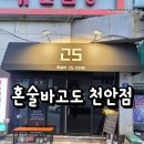 알고리즘천안두정점 | 두정 혼술바 맛집 추천｜혼술하기 좋은 위스키·칵테일 바