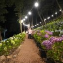 사천리광장 이미지