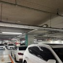 [포스트아카이브팩션(파프)] '러너 자켓(ARCHIVE) - 신세계 강남점 후기'