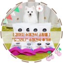 도그리니 | [강아지 수제간식 쇼핑몰 ]&#34;도그리니 애견 수제간식 후기#&#34;