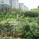 종신농장 이미지