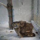 우정가든 이미지