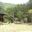 전라북도지역 - 전주 이강주 Ⅰ (동영상 포함) 이미지