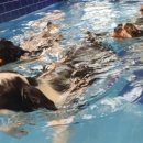 동주빌라 내 이미지