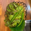 동욱이네고깃집 이미지