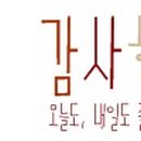 라이티티아 - 서귀포시 | 라이티티아