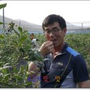 이상문농장 이미지