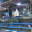 하남대로R 이미지