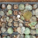 귀동농장 이미지