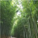 삼천포전통수산시장 이미지